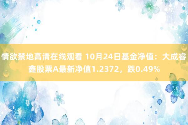 情欲禁地高清在线观看 10月24日基金净值：大成睿鑫股票A最新净值1.2372，跌0.49%