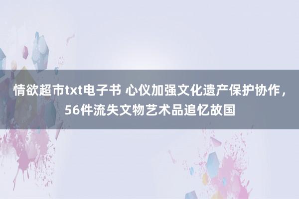 情欲超市txt电子书 心仪加强文化遗产保护协作，56件流失文物艺术品追忆故国