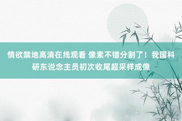 情欲禁地高清在线观看 像素不错分割了！我国科研东说念主员初次收尾超采样成像