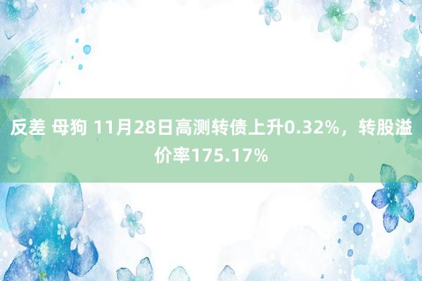 反差 母狗 11月28日高测转债上升0.32%，转股溢价率175.17%