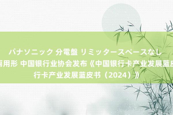 パナソニック 分電盤 リミッタースペースなし 露出・半埋込両用形 中国银行业协会发布《中国银行卡产业发展蓝皮书（2024）》