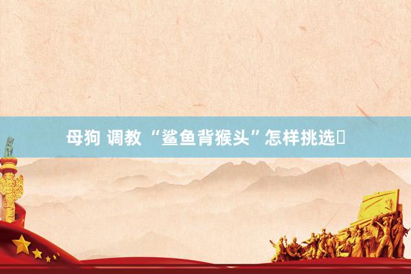母狗 调教 “鲨鱼背猴头”怎样挑选❓