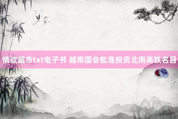 情欲超市txt电子书 越南国会批准投资北南高铁名目
