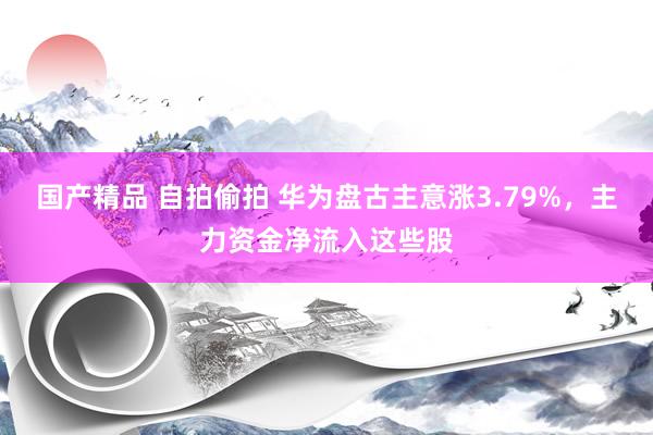 国产精品 自拍偷拍 华为盘古主意涨3.79%，主力资金净流入这些股