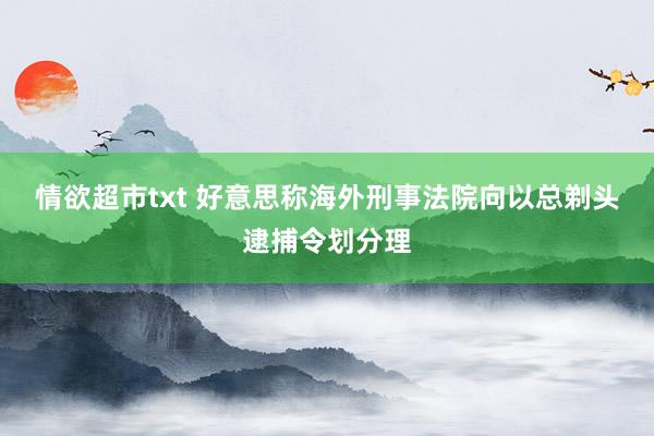 情欲超市txt 好意思称海外刑事法院向以总剃头逮捕令划分理