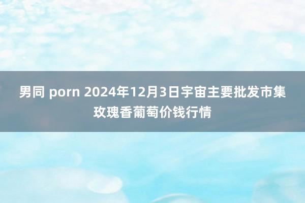 男同 porn 2024年12月3日宇宙主要批发市集玫瑰香葡萄价钱行情