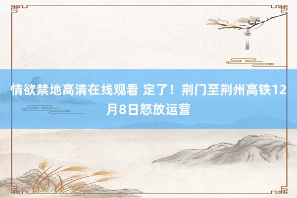 情欲禁地高清在线观看 定了！荆门至荆州高铁12月8日怒放运营
