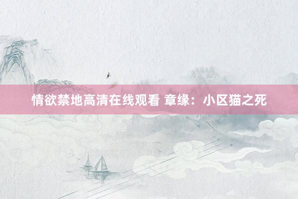 情欲禁地高清在线观看 章缘：小区猫之死