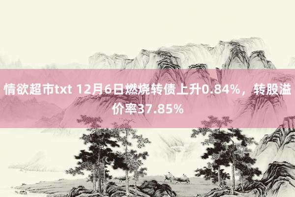 情欲超市txt 12月6日燃烧转债上升0.84%，转股溢价率37.85%