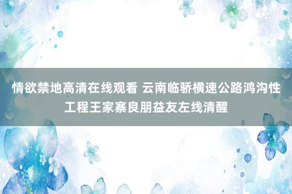 情欲禁地高清在线观看 云南临骄横速公路鸿沟性工程王家寨良朋益友左线清醒