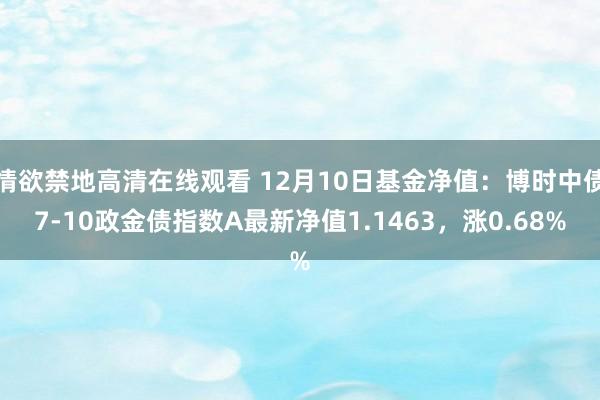 情欲禁地高清在线观看 12月10日基金净值：博时中债7-10政金债指数A最新净值1.1463，涨0.68%