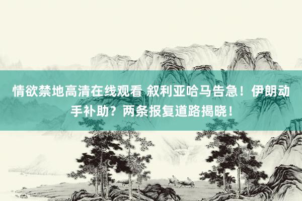 情欲禁地高清在线观看 叙利亚哈马告急！伊朗动手补助？两条报复道路揭晓！