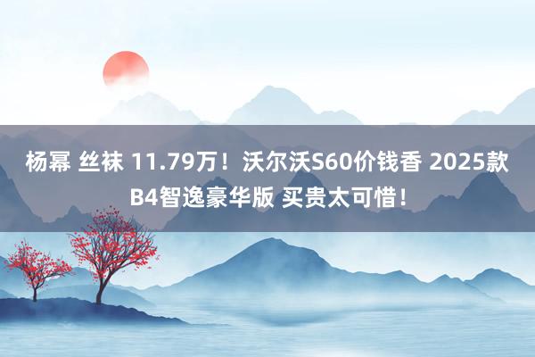 杨幂 丝袜 11.79万！沃尔沃S60价钱香 2025款B4智逸豪华版 买贵太可惜！