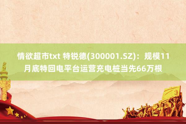 情欲超市txt 特锐德(300001.SZ)：规模11月底特回电平台运营充电桩当先66万根