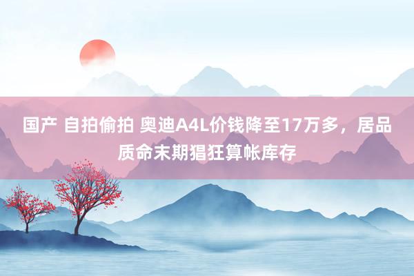 国产 自拍偷拍 奥迪A4L价钱降至17万多，居品质命末期猖狂算帐库存