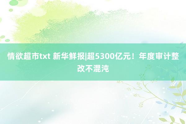 情欲超市txt 新华鲜报|超5300亿元！年度审计整改不混沌