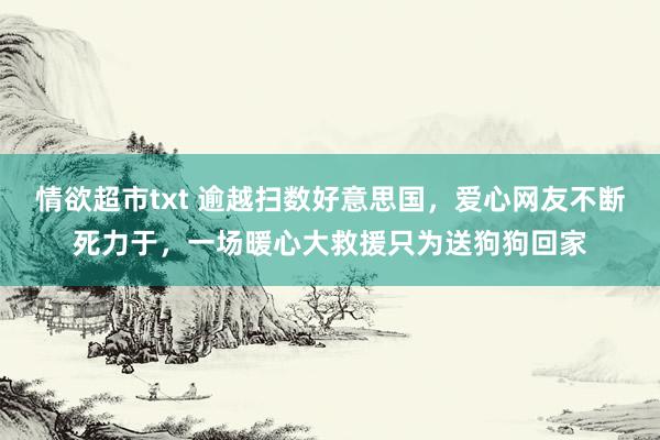 情欲超市txt 逾越扫数好意思国，爱心网友不断死力于，一场暖心大救援只为送狗狗回家