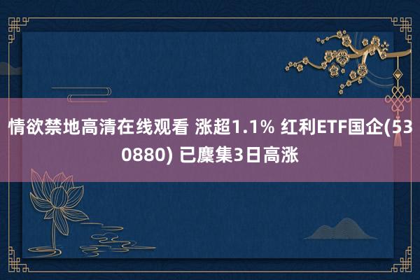 情欲禁地高清在线观看 涨超1.1% 红利ETF国企(530880) 已麇集3日高涨