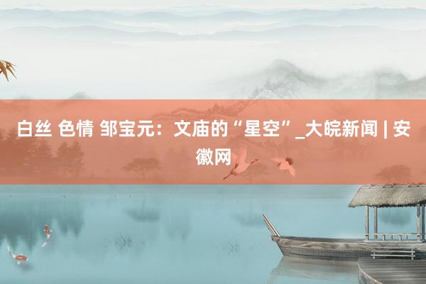 白丝 色情 邹宝元：文庙的“星空”_大皖新闻 | 安徽网