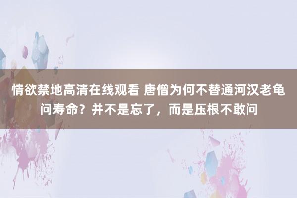 情欲禁地高清在线观看 唐僧为何不替通河汉老龟问寿命？并不是忘了，而是压根不敢问