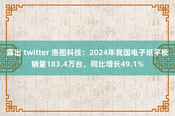 露出 twitter 洛图科技：2024年我国电子纸平板销量183.4万台，同比增长49.1%