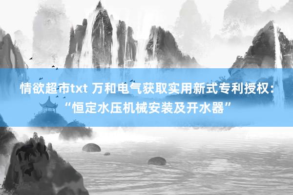 情欲超市txt 万和电气获取实用新式专利授权：“恒定水压机械安装及开水器”