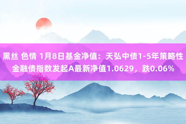 黑丝 色情 1月8日基金净值：天弘中债1-5年策略性金融债指数发起A最新净值1.0629，跌0.06%