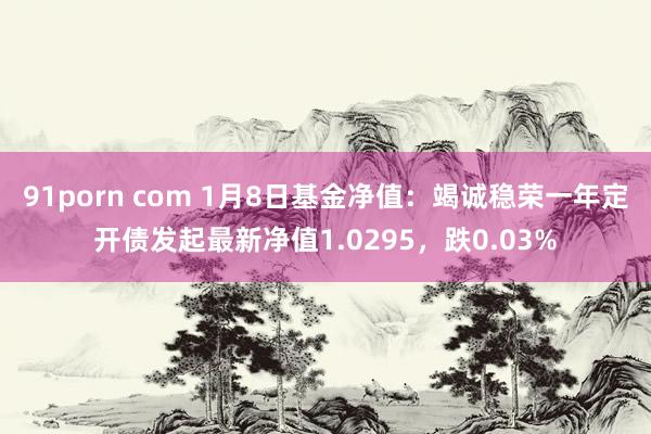91porn com 1月8日基金净值：竭诚稳荣一年定开债发起最新净值1.0295，跌0.03%