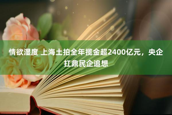 情欲湿度 上海土拍全年揽金超2400亿元，央企扛鼎民企追想