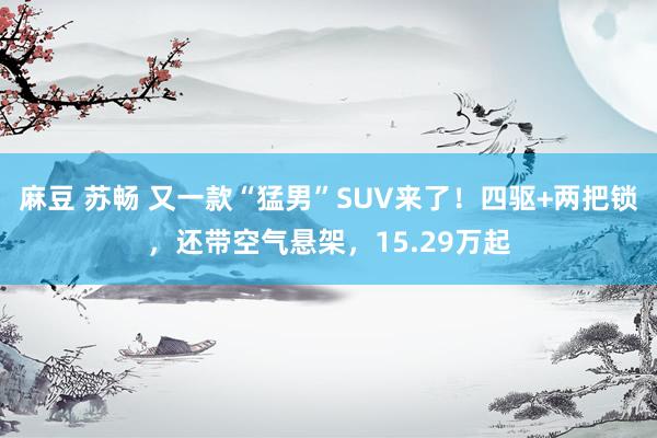麻豆 苏畅 又一款“猛男”SUV来了！四驱+两把锁，还带空气悬架，15.29万起