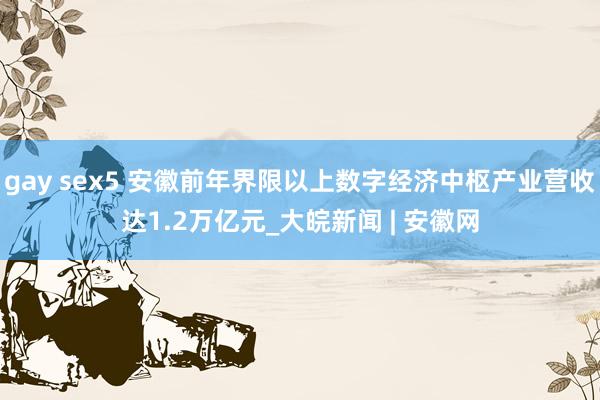 gay sex5 安徽前年界限以上数字经济中枢产业营收达1.2万亿元_大皖新闻 | 安徽网